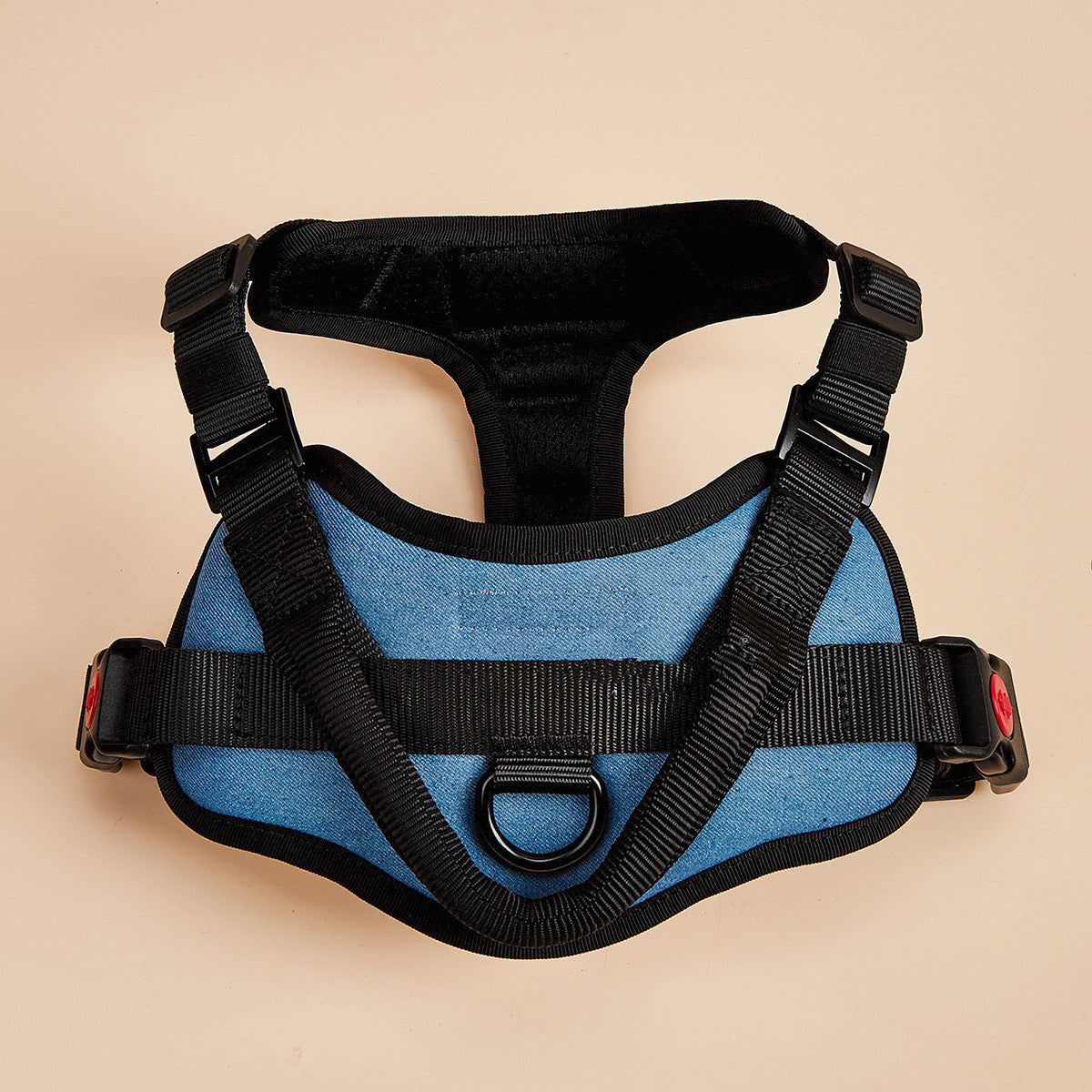 Blue dog harness with black straps on a beige background