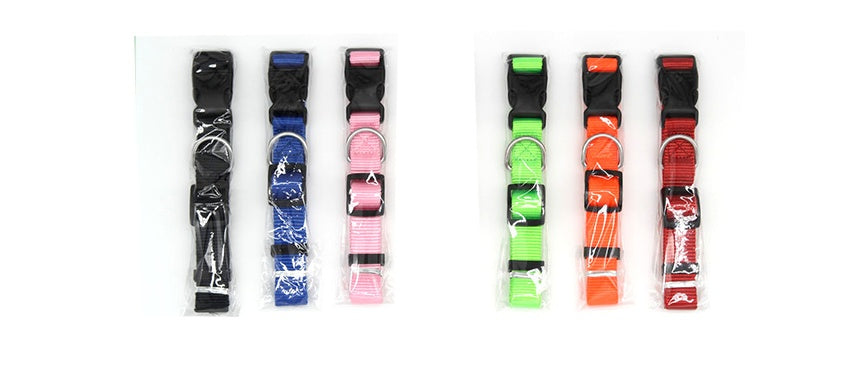 Set of colorful dog collars in packaging on a white background
