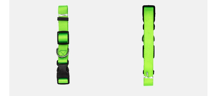 Two green dog collars on a white background