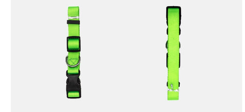 Two green dog collars on a white background