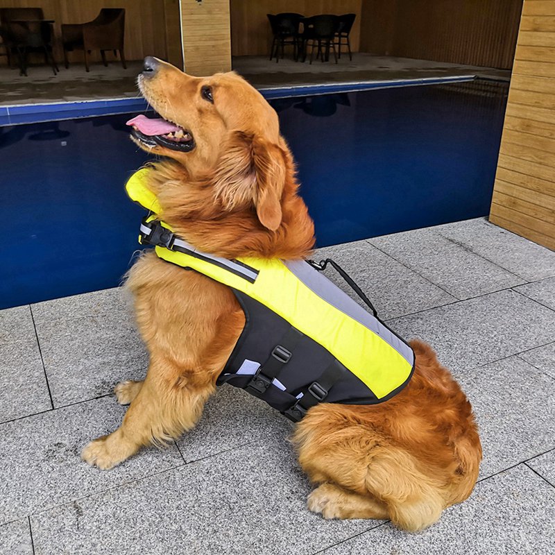 Pet Reflective Airbag Life Jacket on a golden dog sitting down on pavers
