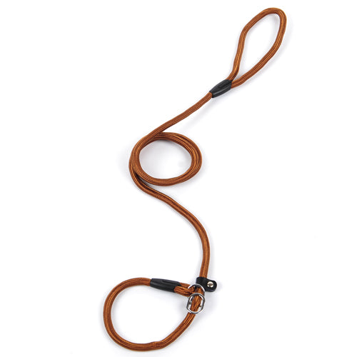 Brown leather dog leash with black hardware on a white background