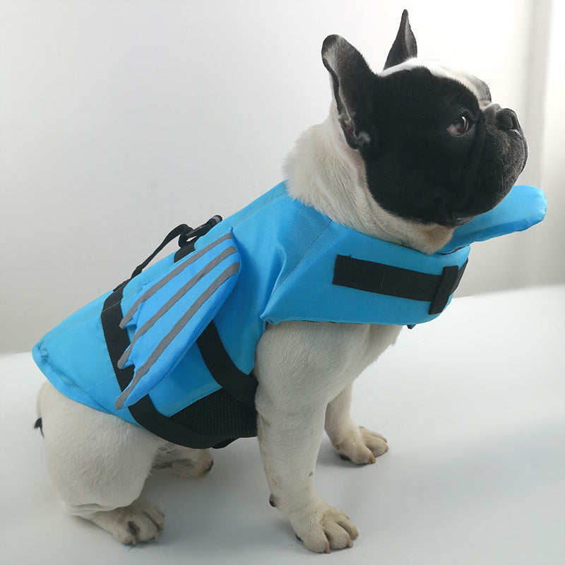 Dog wearing a blue life jacket on a white background