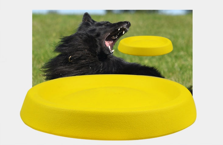 Dog playing with a yellow frisbee outdoors