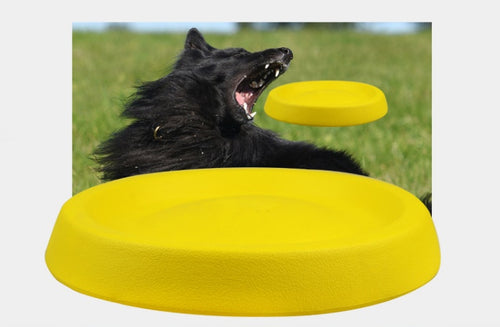 Dog playing with a yellow frisbee outdoors