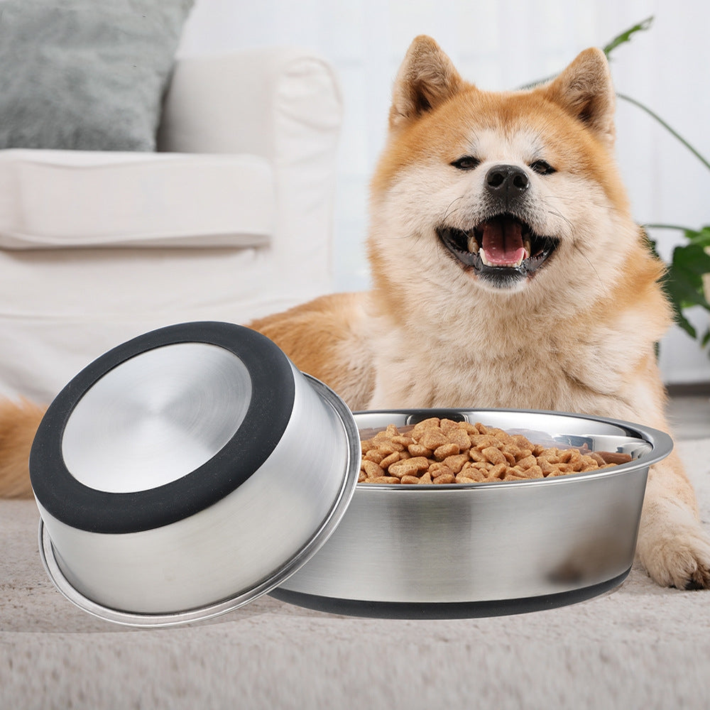 Dog sitting next to a bowl of food on a couch