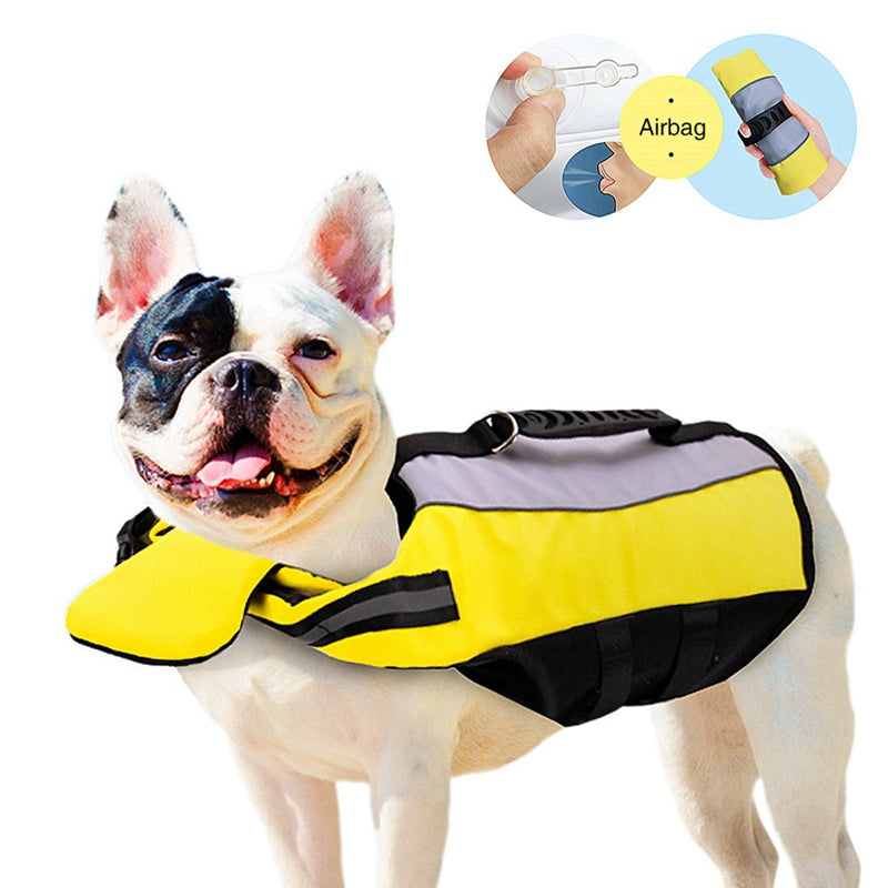 a small dog with a Pet Reflective Airbag Life Jacket in grey, yellow and black with valve to inflate