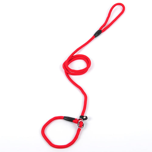 Red dog leash with a black clip on a white background