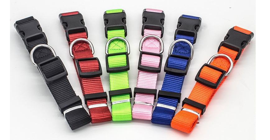 Set of colorful dog collars with black buckles on a white background