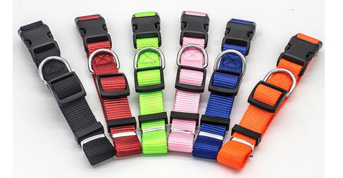 Set of colorful dog collars with black buckles on a white background