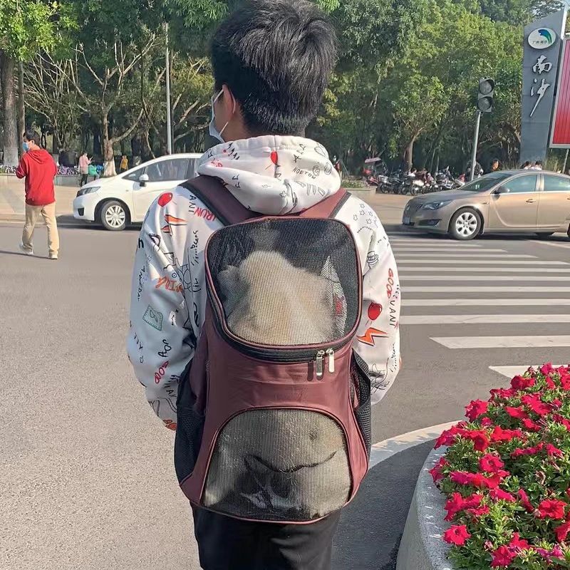 Person walking on a street with a pet in a backpack