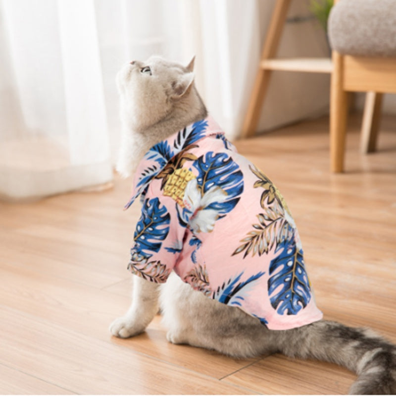 Gray cat wearing a pink tropical pet shirt with leaf and pineapple print, sitting indoors on a wooden floor.