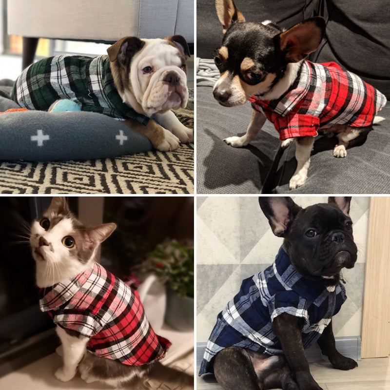 Four dogs wearing plaid shirts in different poses and settings.