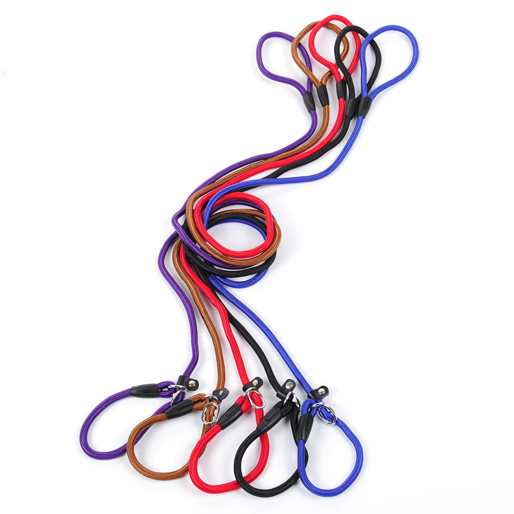Set of colorful dog leashes on a white background