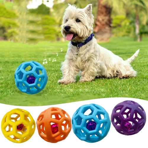 Small white dog sitting on grass with a blue geometric chew ball toy, with additional colourful chew balls displayed below.