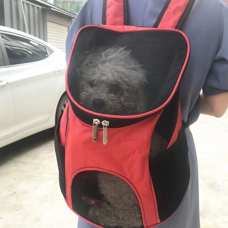Person carrying a small dog in a red and black pet carrier outdoors.