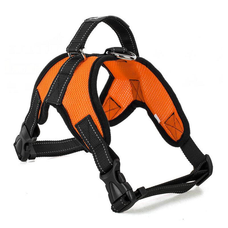 Orange dog harness with black straps on a white background