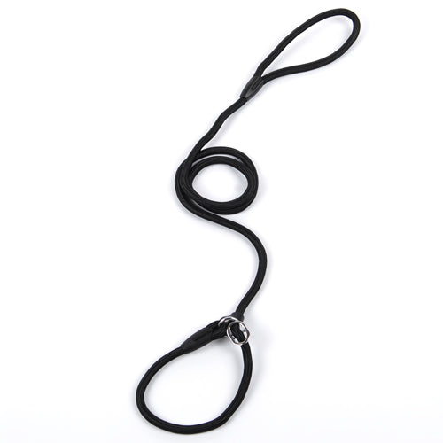 Black dog leash with a metal clip on a white background