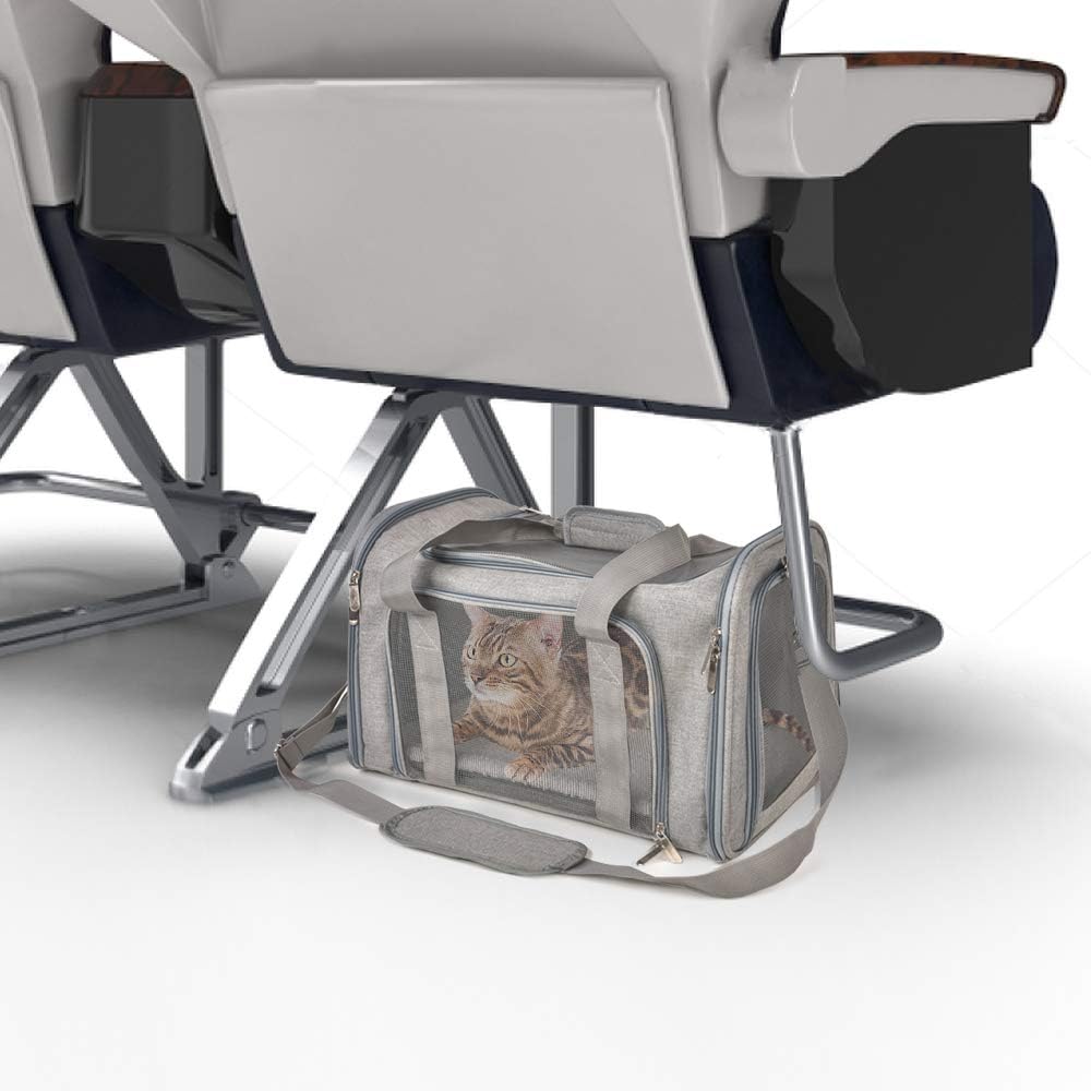 Pet carrier with a cat inside, placed on an airplane seat