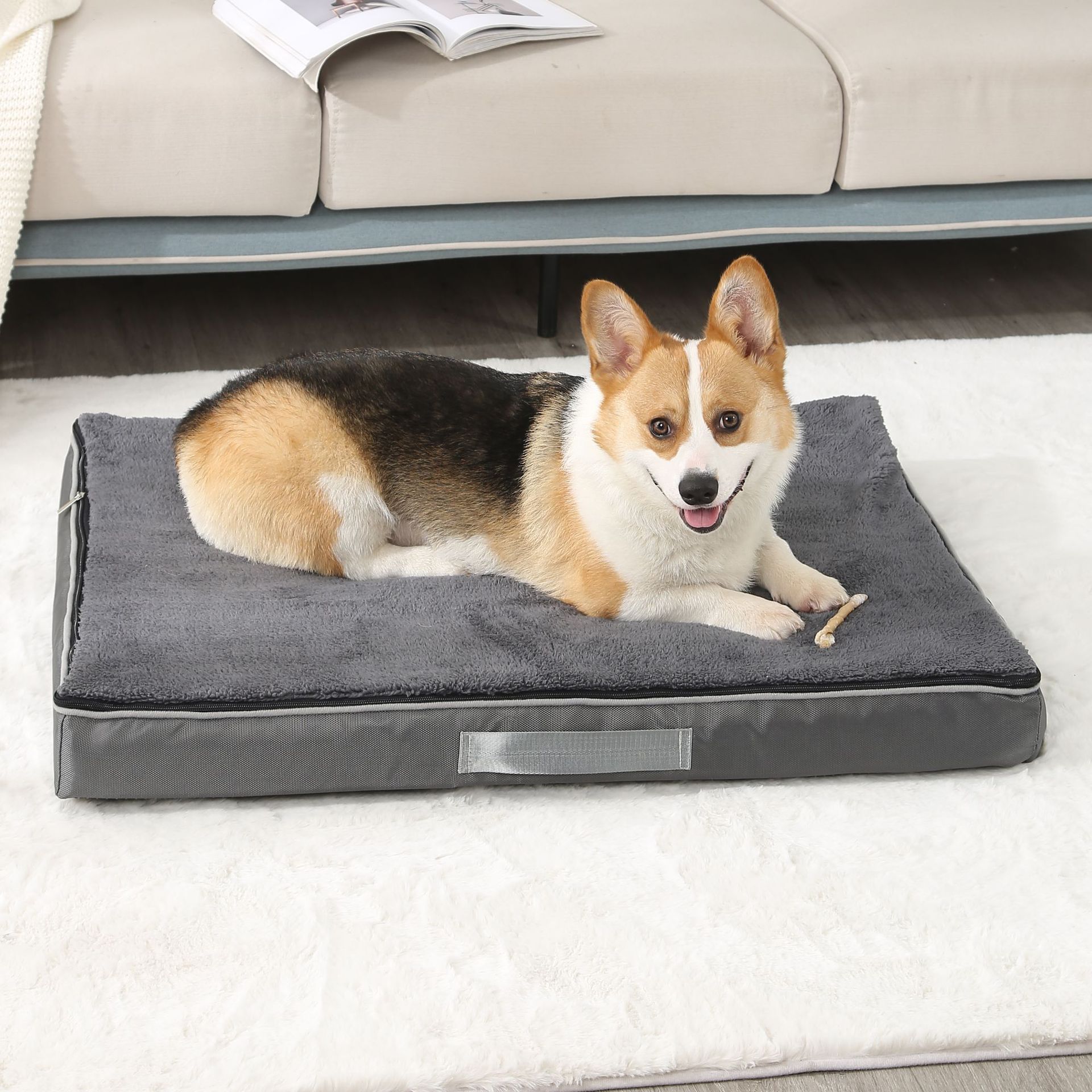 Dog lying on a gray pet bed in a living room setting.