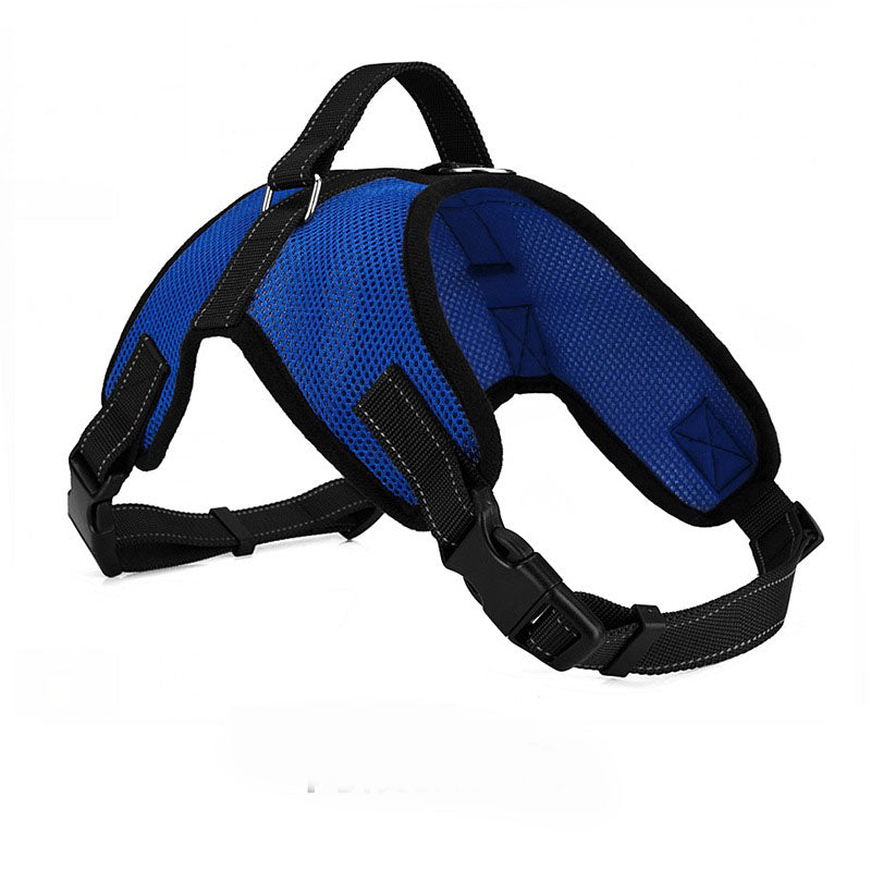 Blue dog harness with black straps on a white background