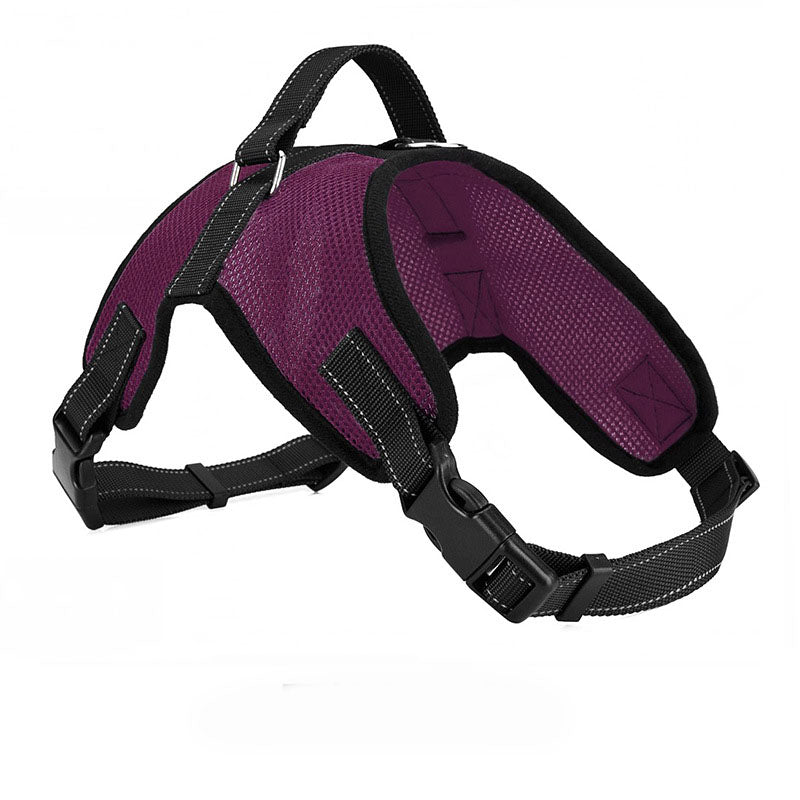 Purple dog harness with black straps on a white background