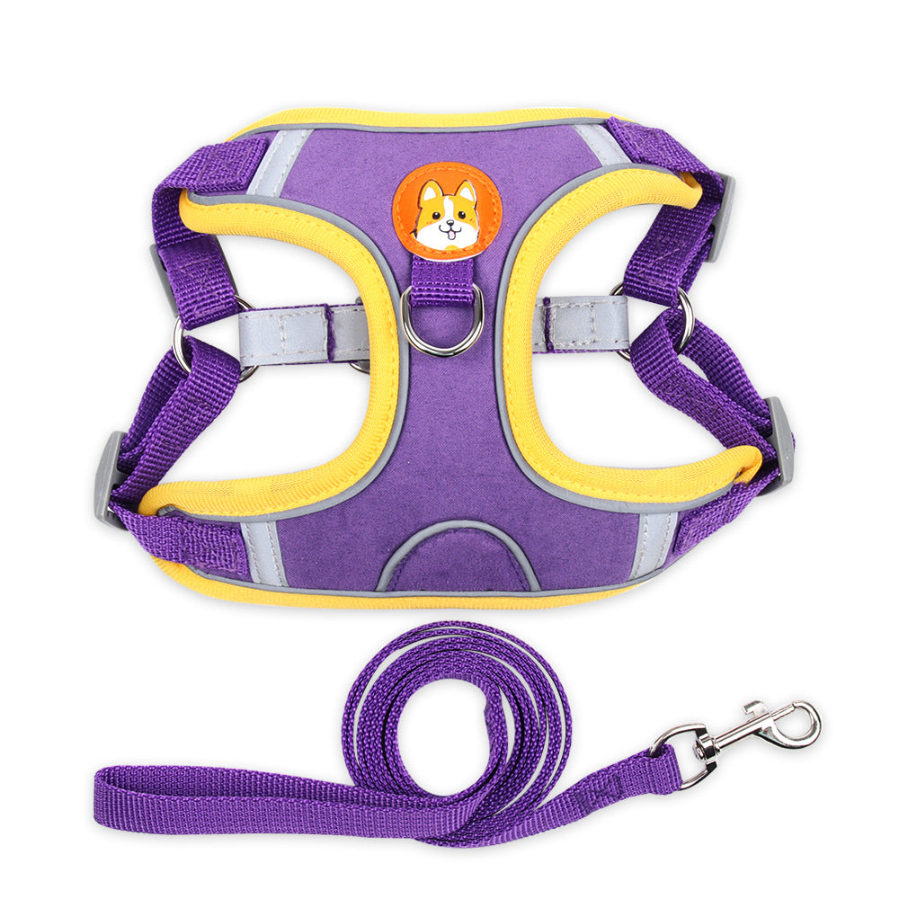 Purple and yellow dog harness with matching leash on a white background