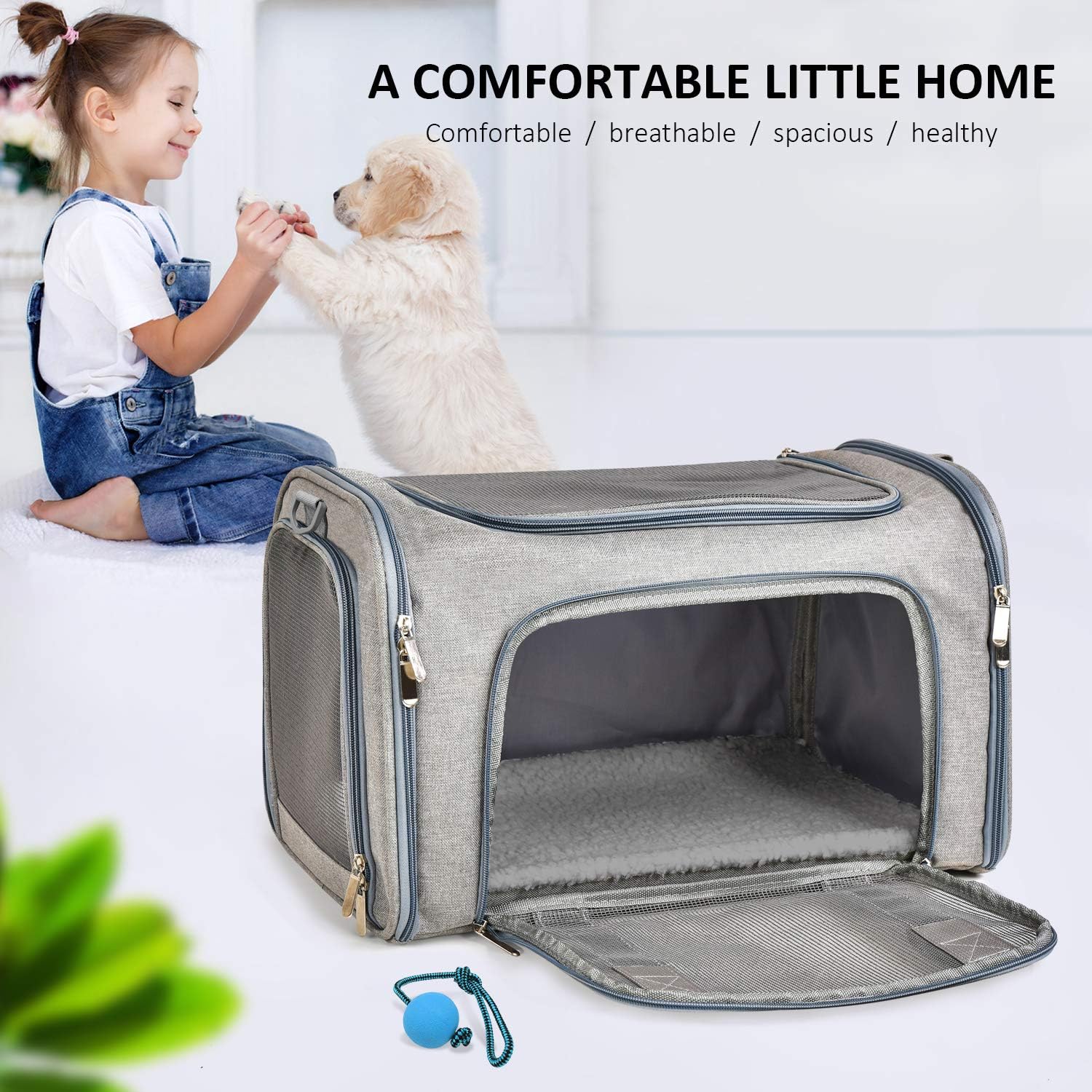 Child sitting with a dog next to an open gray pet carrier on a white background