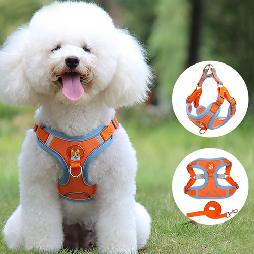 White dog wearing an orange harness with additional images of the harness on a green background