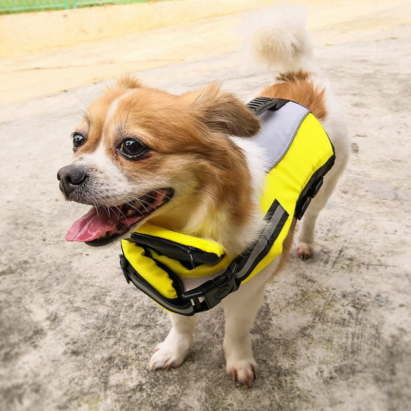 a small dog with Pet Reflective Airbag Life Jacket on