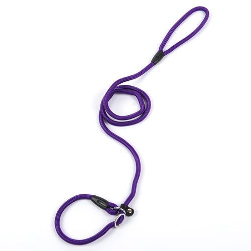 Purple dog leash with a black clip on a white background