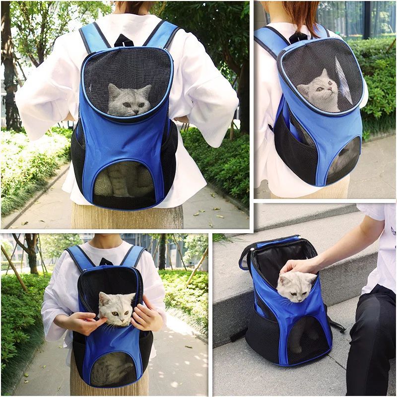 Blue pet carrier backpack with a cat inside, used outdoors.