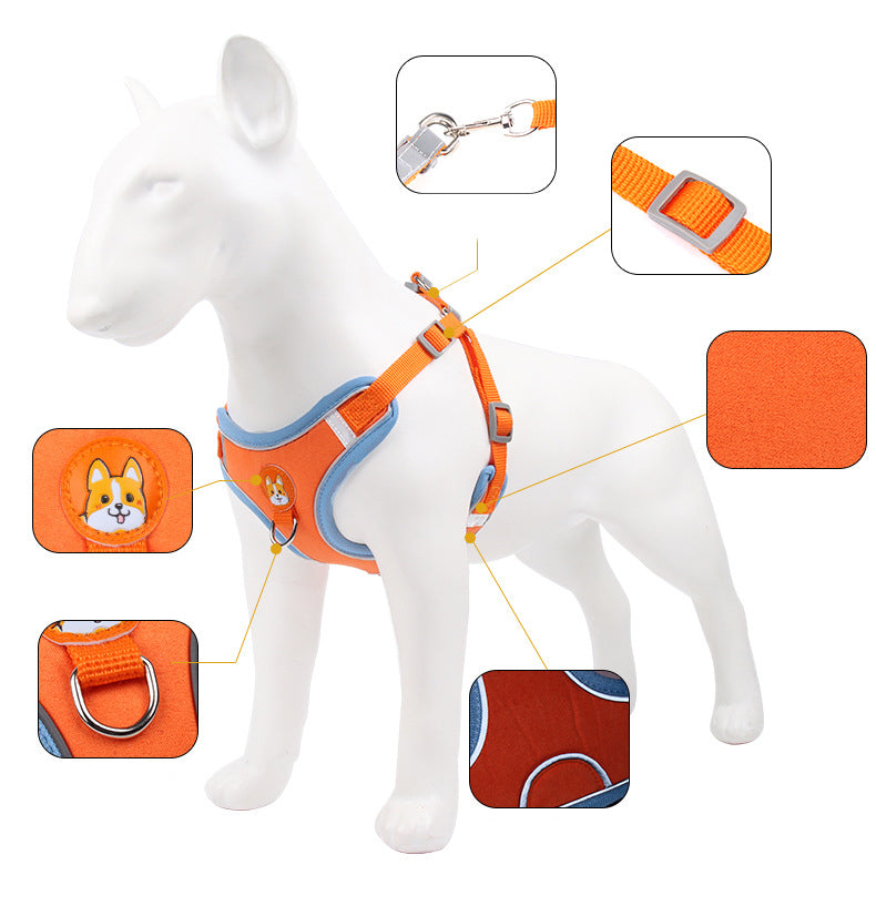 Orange dog harness on a mannequin with close-up details on a white background