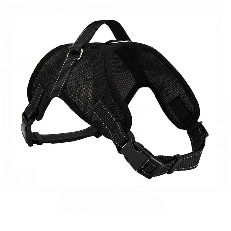 Black dog harness on a white background