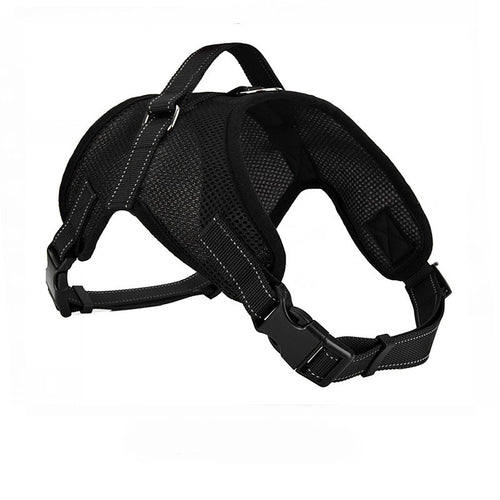 Black dog harness on a white background