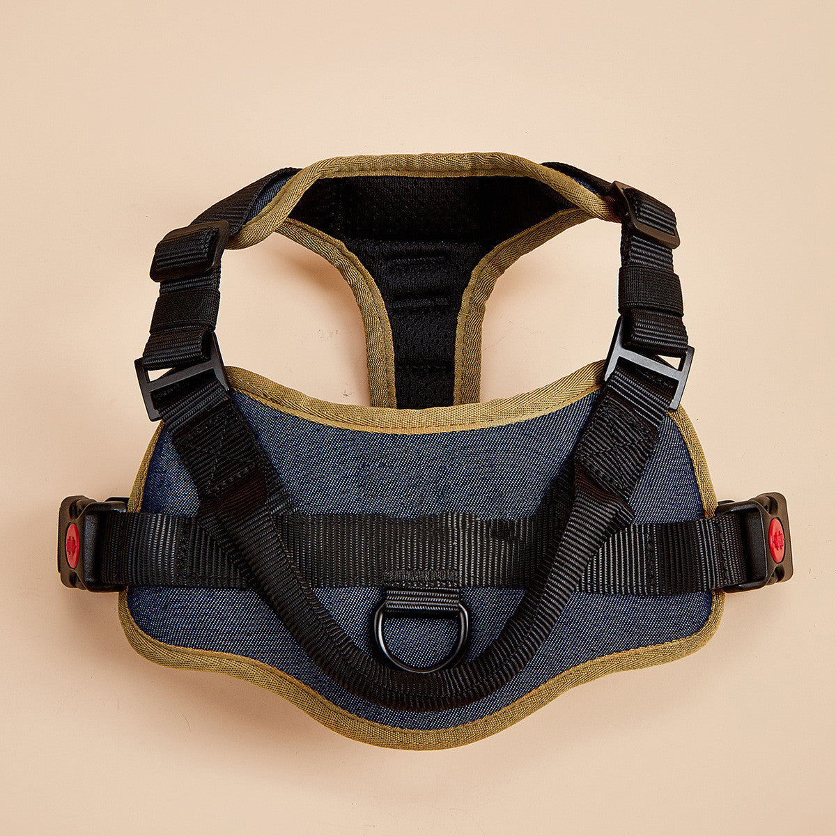 Dog harness on a beige background