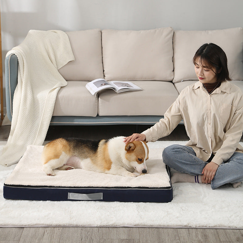 Woman sitting on the floor with a dog on a large pet bed in a living room.