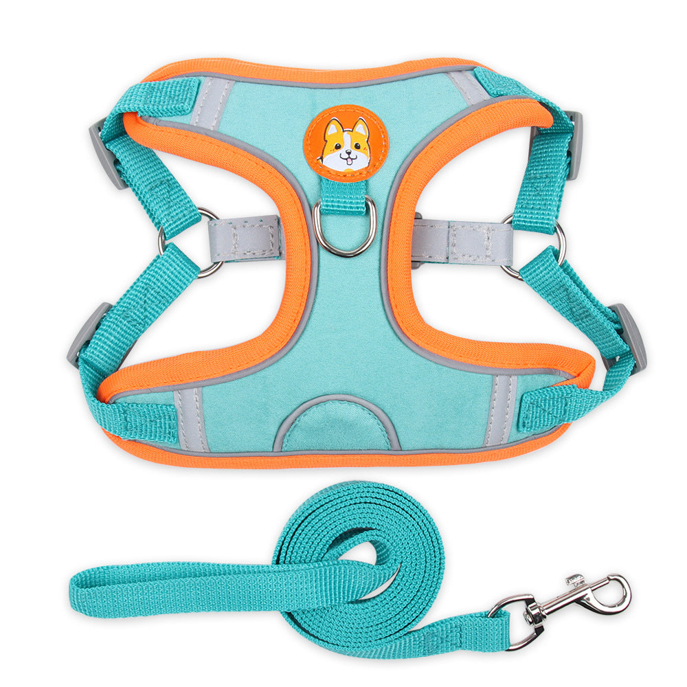 Pet harness and leash set with teal and orange design on a white background