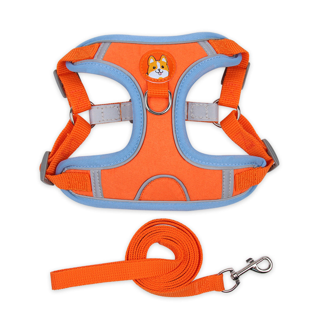 Orange dog harness and leash set on a white background